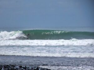 Jungle Sanctuary for Sale in Pavones