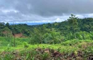 Joya Verde For Sale in Cuervito