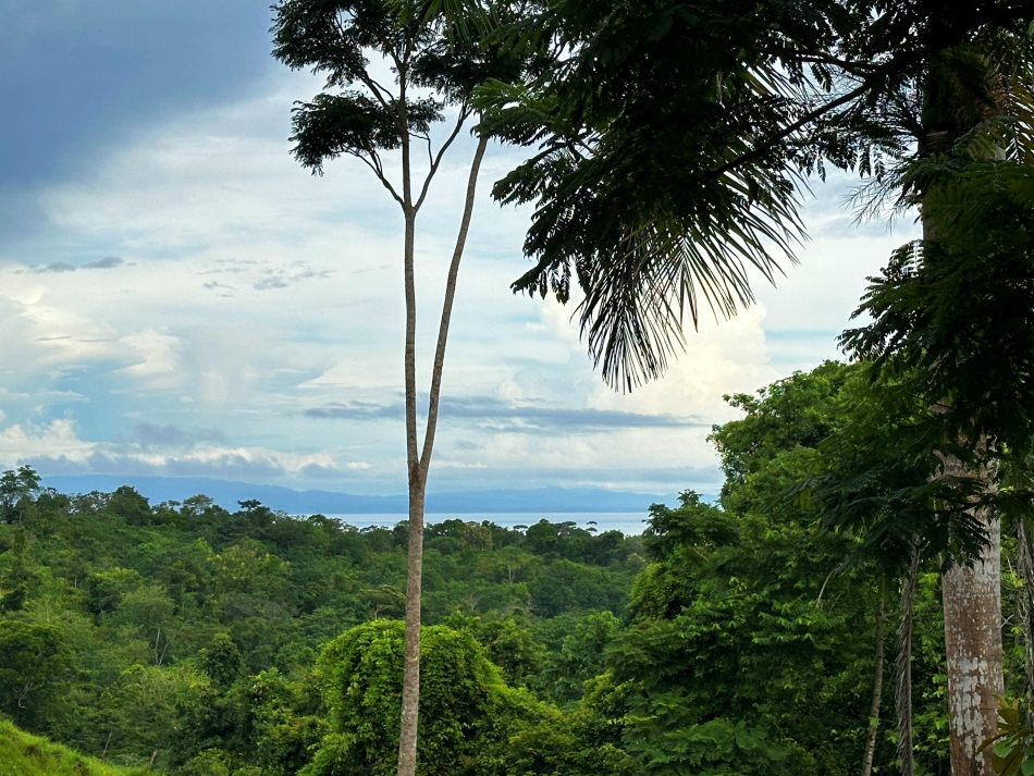 Lot With Ocean View For Sale in Cuervito