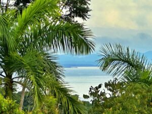 Cerro Panoramico For Sale In Cuervito Pavones