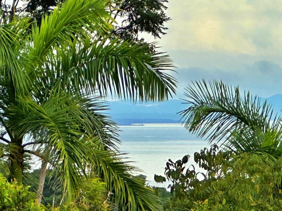 Cerro Panoramico For Sale In Cuervito Pavones