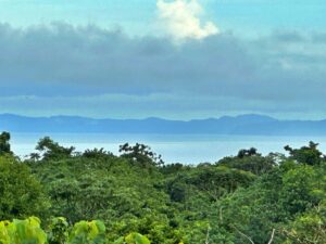 Colinas Tranquilas For Sale in Cuervito