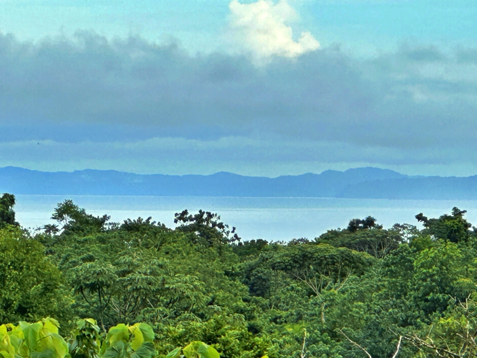 Colinas Tranquilas For Sale in Cuervito