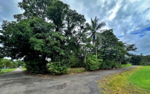 Corner Lot For Sale in Conte