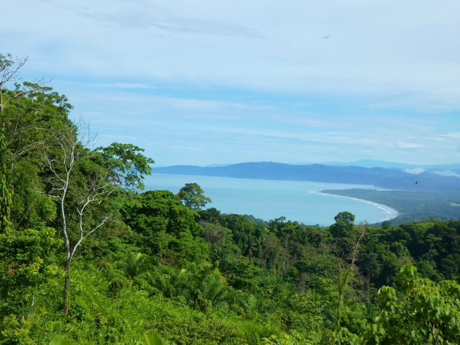 La Cima Ocean View Ranch for Sale in Pavones Costa Rica