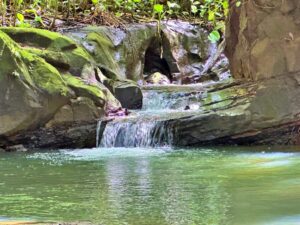Pavones Natural Paradise For Sale