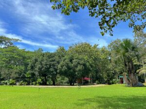 Pavones Natural Paradise For Sale