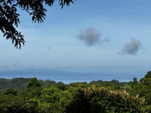 Ocean View Finca for Sale in Pavones Costa Rica, Pavones Real Estate Office First Point Real Estate