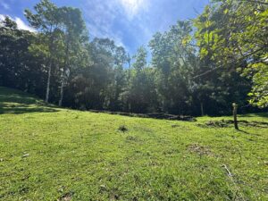 Sanctuary For Sale In Pavones