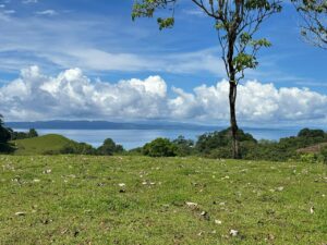 Sanctuary For Sale In Pavones