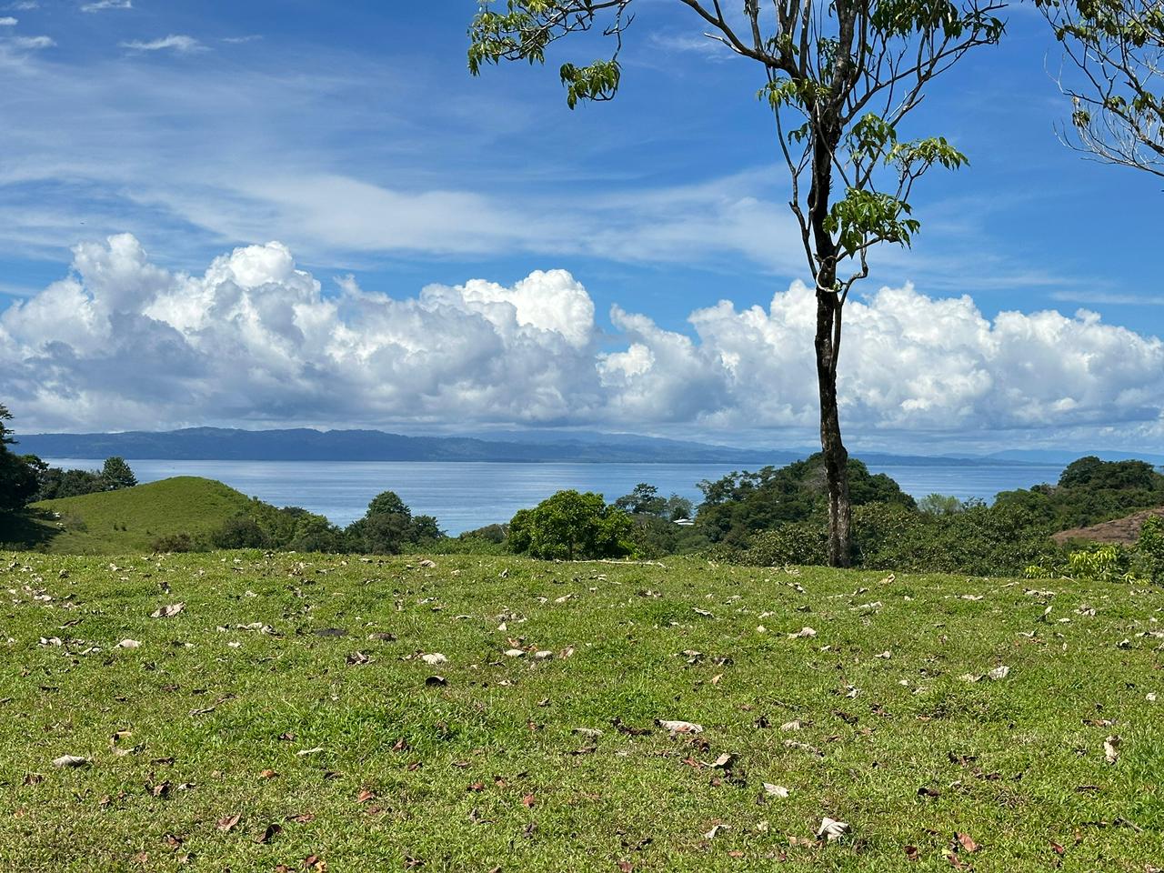 Sanctuary For Sale In Pavones