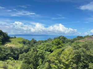 Sanctuary For Sale In Pavones