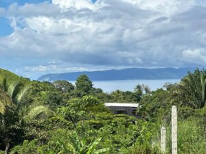 Vistas al Mar Lot For Sale in Pavones