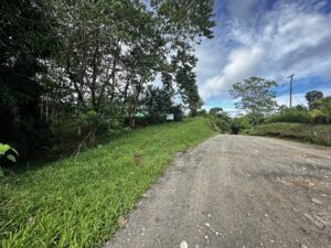 Lot for sale in Pavones first Point Real Estate