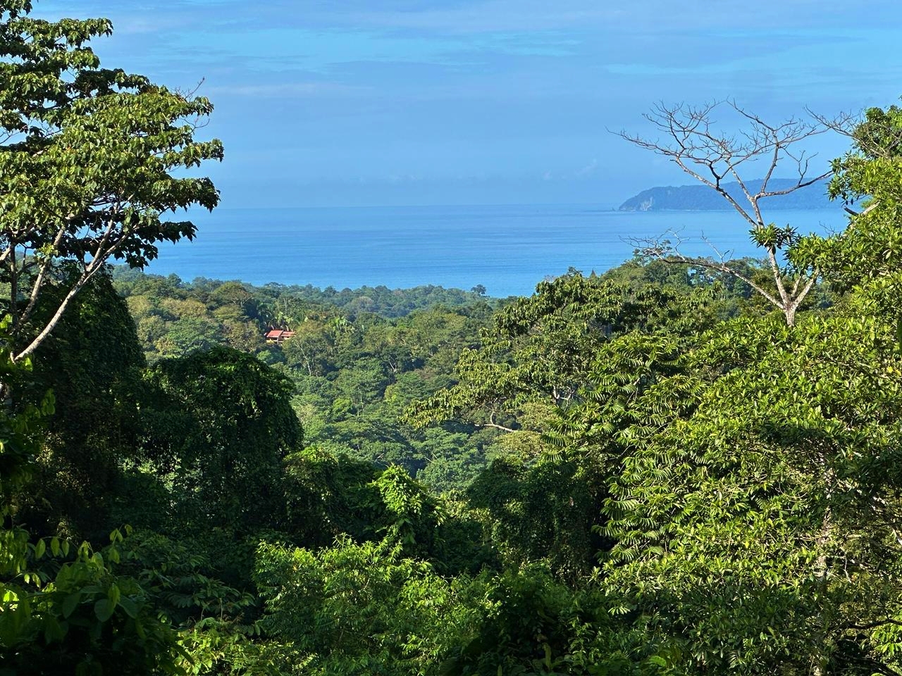 Gulf view land for sale in Pavones Costa Rica overlooking Golfo Dulce