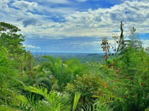Peaceful tropical environment property for sale in Golfito Costa Rica