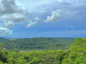 Large ocean view land with tropical forest in Golfito Costa Rica, Pavones Golfito Real Estate