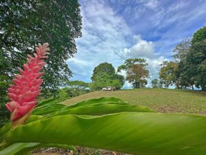 Building area with ocean view in Golfito Costa Rica property, Pavones Golfito Real Estate
