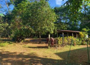 Pavones real estate near beach lot with utilities for sale