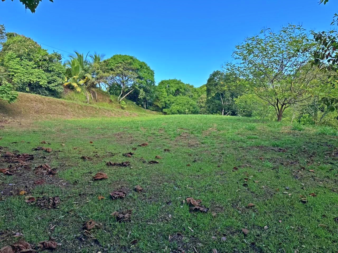 Road access to flat lot in Pilón near Pavones