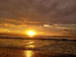 modern jungle home in La Hierba Pavones just 300 meters from the beach