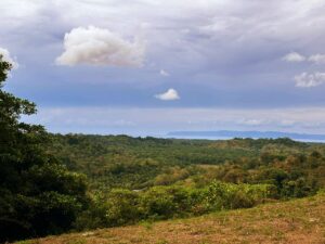 Ocean view farm for sale in Golfito Costa Rica Pavones Golfito real estate