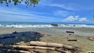 Beach front property for sale in Pavones Costa Rica with direct ocean view