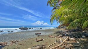 Oceanfront real estate opportunity in Pavones Costa Rica
