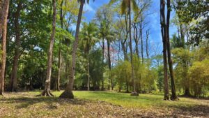 Ocean view beachfront land in Pavones Costa Rica for development