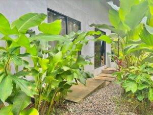 Profitable 2-homes property for sale in Pavones Costa Rica located near the beach and famous surf breaks, ideal for rental income or tropical living.