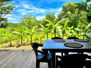 outdoor area of profitable property in Pavones