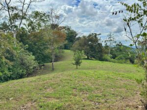 Panoramic view of Golfo Dulce from property in Golfito Pavones Golfito real estate