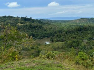 Panoramic view of Golfo Dulce from property in Golfito Pavones Golfito real estate