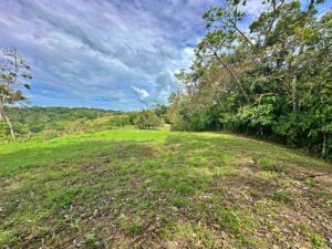 Large ocean view land surrounded by nature in Golfito Costa Rica real estate