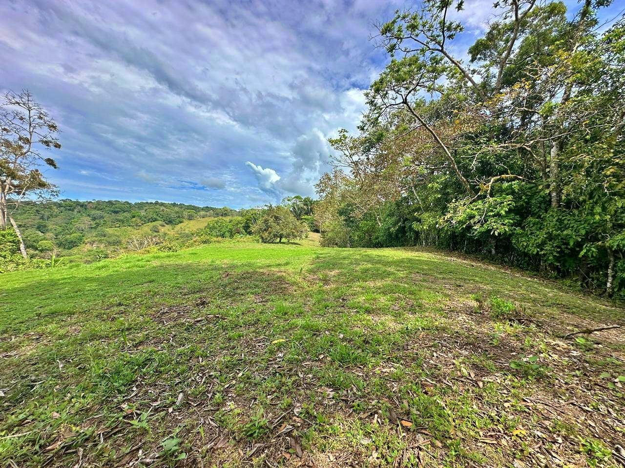 Large ocean view land surrounded by nature in Golfito Costa Rica real estate