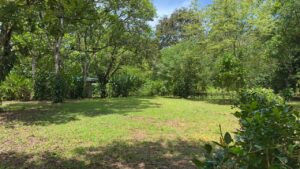 900m2 property in Pilón Pavones Costa Rica – Pavones Real Estate near beach and jungle