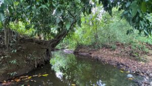 river running through property Pavones Costa Rica land with water source La Virgen