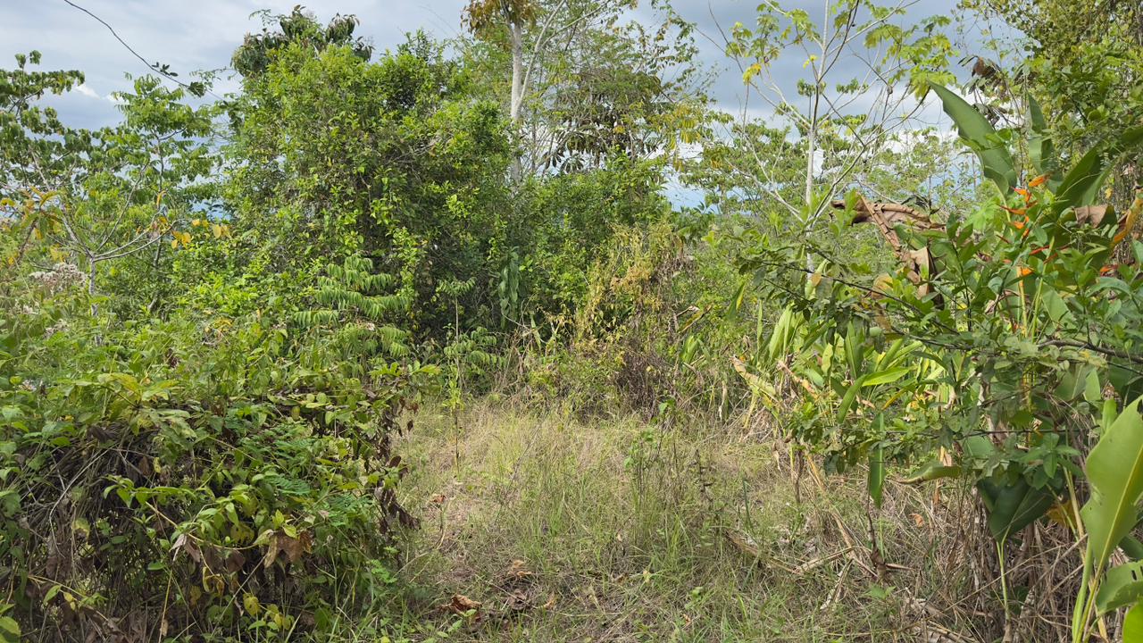Hillside view from property in Pavones Costa Rica scenic mountain landscape
