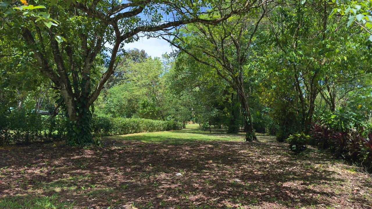 Flat lot for sale in Pilón Pavones Costa Rica – Pavones Real Estate on main road near surf