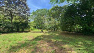 Land with trees in Pavones Costa Rica – Pavones Real Estate investment opportunity