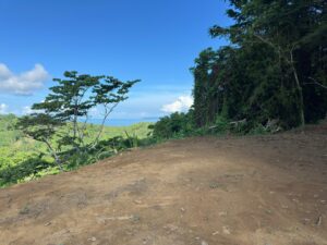 Ocean View Lot For Sale in La Honda-Pavones building side and view