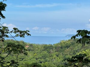 Great view Ocean View Lot For Sale in La Honda-Pavones