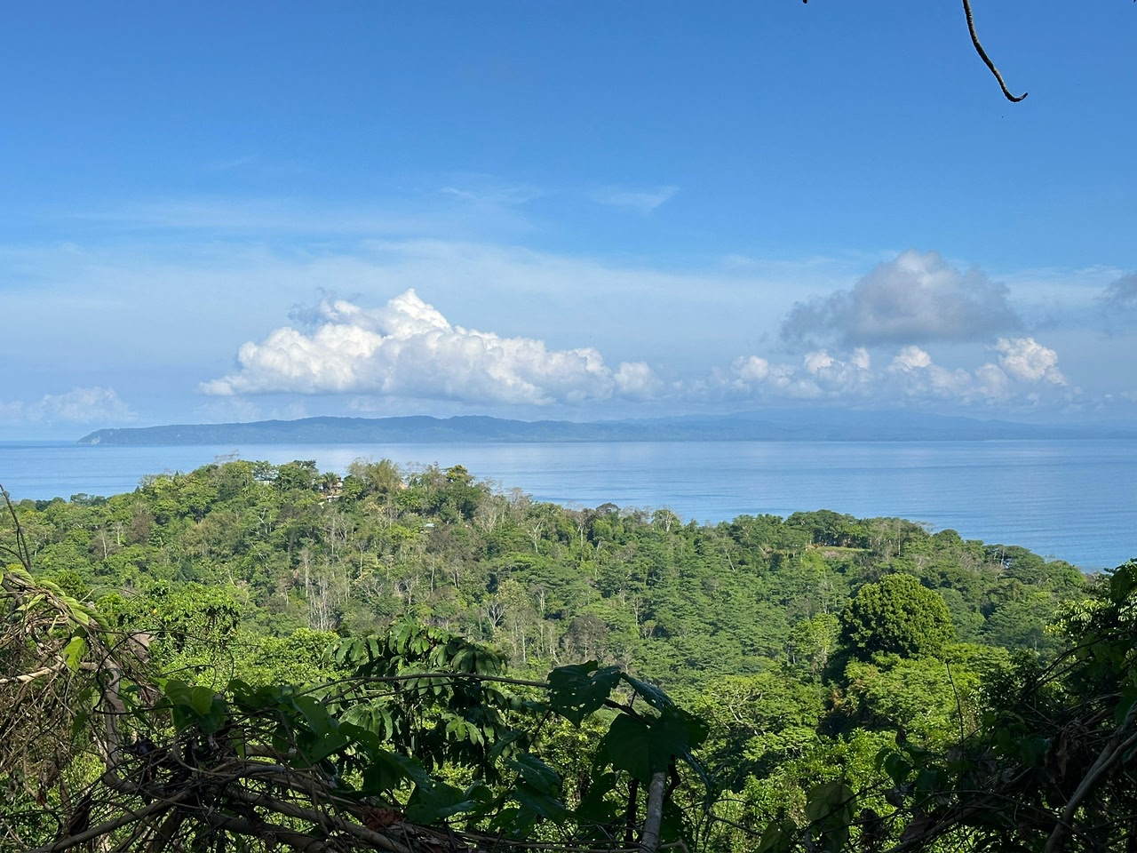 Ocean View Opportunity Lot For Sale in La Honda-Pavones