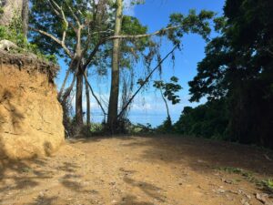 Building site Ocean View Opportunity Lot For Sale in La Honda-Pavones