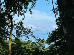Jungle With Ocean View For Sale in La Honda-Pavones