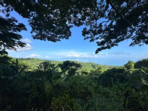 Spectacular Ocean view in Estate For Sale in La Honda-Pavones