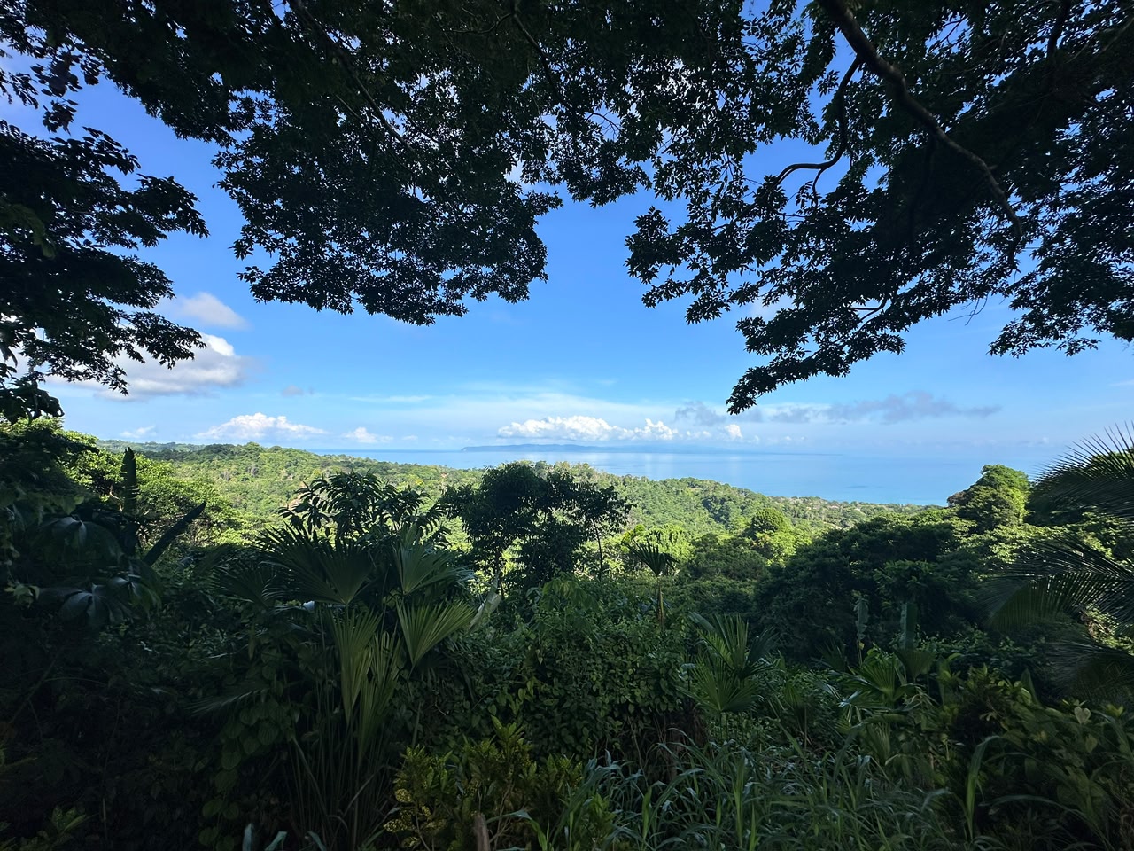 Spectacular Ocean view in Estate For Sale in La Honda-Pavones
