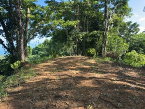 Building site in Estate For Sale in La Honda-Pavones