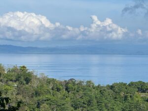Spectacular Ocean view in Estate For Sale in La Honda-Pavones