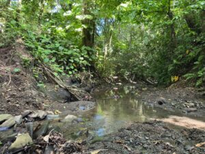Land for Sale in Pavones Costa Rica